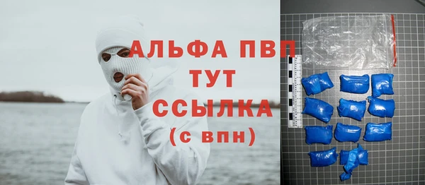 хмурый Абаза