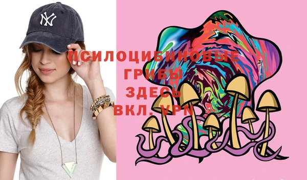хмурый Абаза