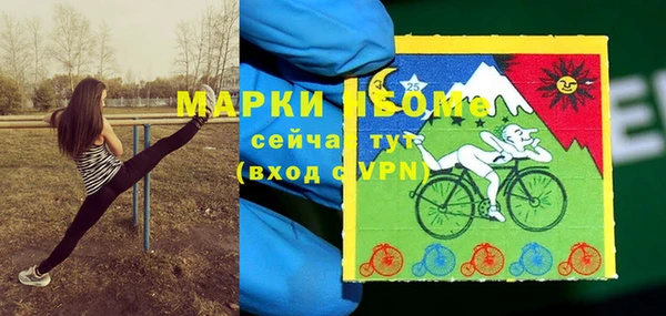 хмурый Абаза