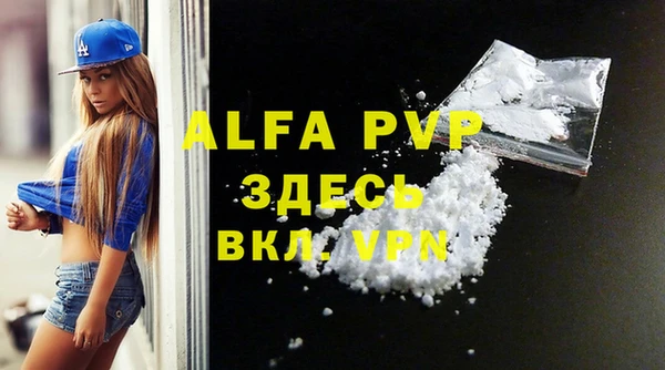 хмурый Абаза