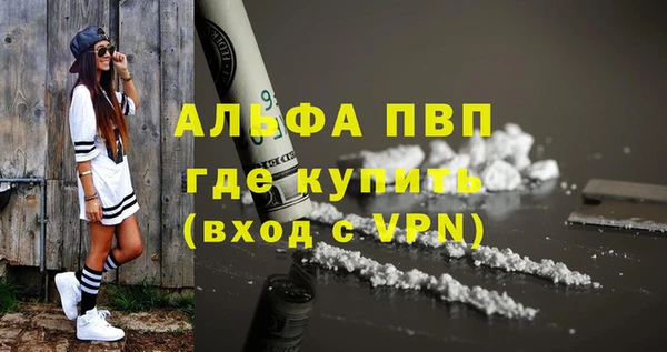 хмурый Абаза