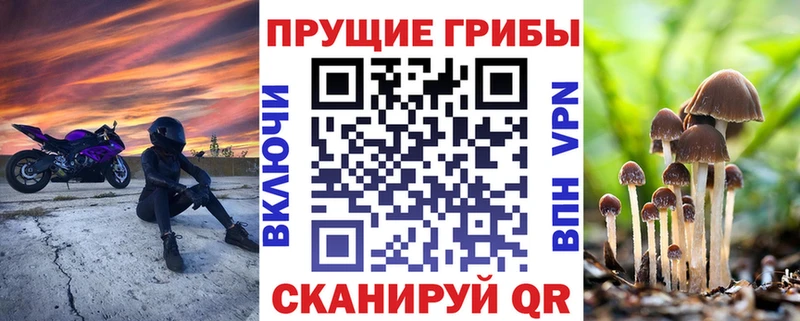 Псилоцибиновые грибы мицелий  Красавино 